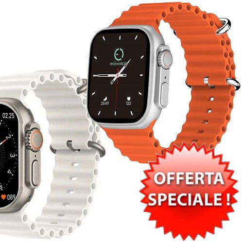 Smartwatch Maxcom ecowatch 2 EW02 silver